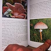 Foraging In March: Advice From Expert John Wright - Profile Books - Foto 7