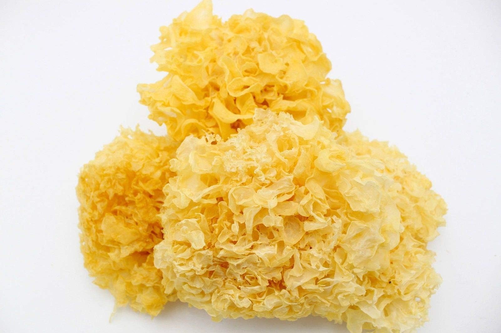 Dried Snow Fungus /white fungus / Yin Er Yellow Ear 雪耳 銀耳 FREE worldwide AirMail