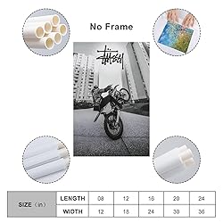 Stussy Bike Poster Aesthetic Racer Biker Driver
