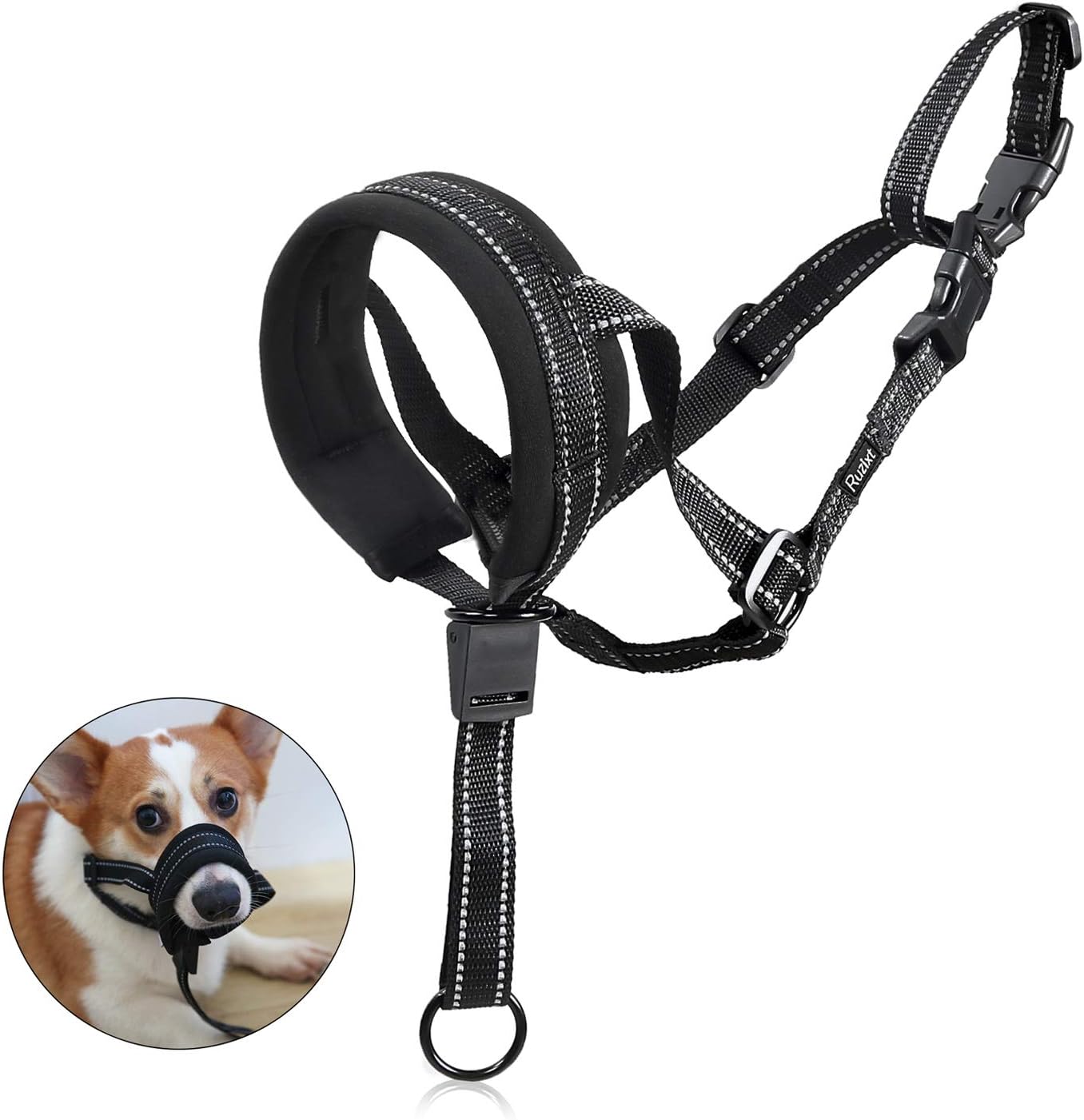 dog head halter amazon