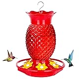Fchstaer Glass Hummingbird Feeders for Outdoors