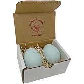 Ceramic Nest Eggs (2ct) (Blue)