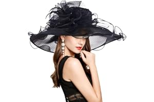 YIDINGCO 2025 Kentucky Derby Hat for Women Ladies, Organza Veil Feather Fascinator for Tea Party Church UV Protection Sun Hat