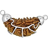 Arihant Gems & Jewels Nepali & Indian Rudraksha Pendant in 925 Sterling Silver – Natural, Certified, Spiritual Beads for Men & Women