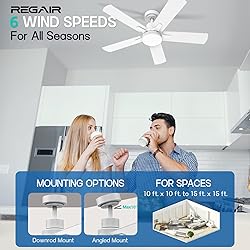 Ceiling Fan With Light 42-Inch, Remote Control