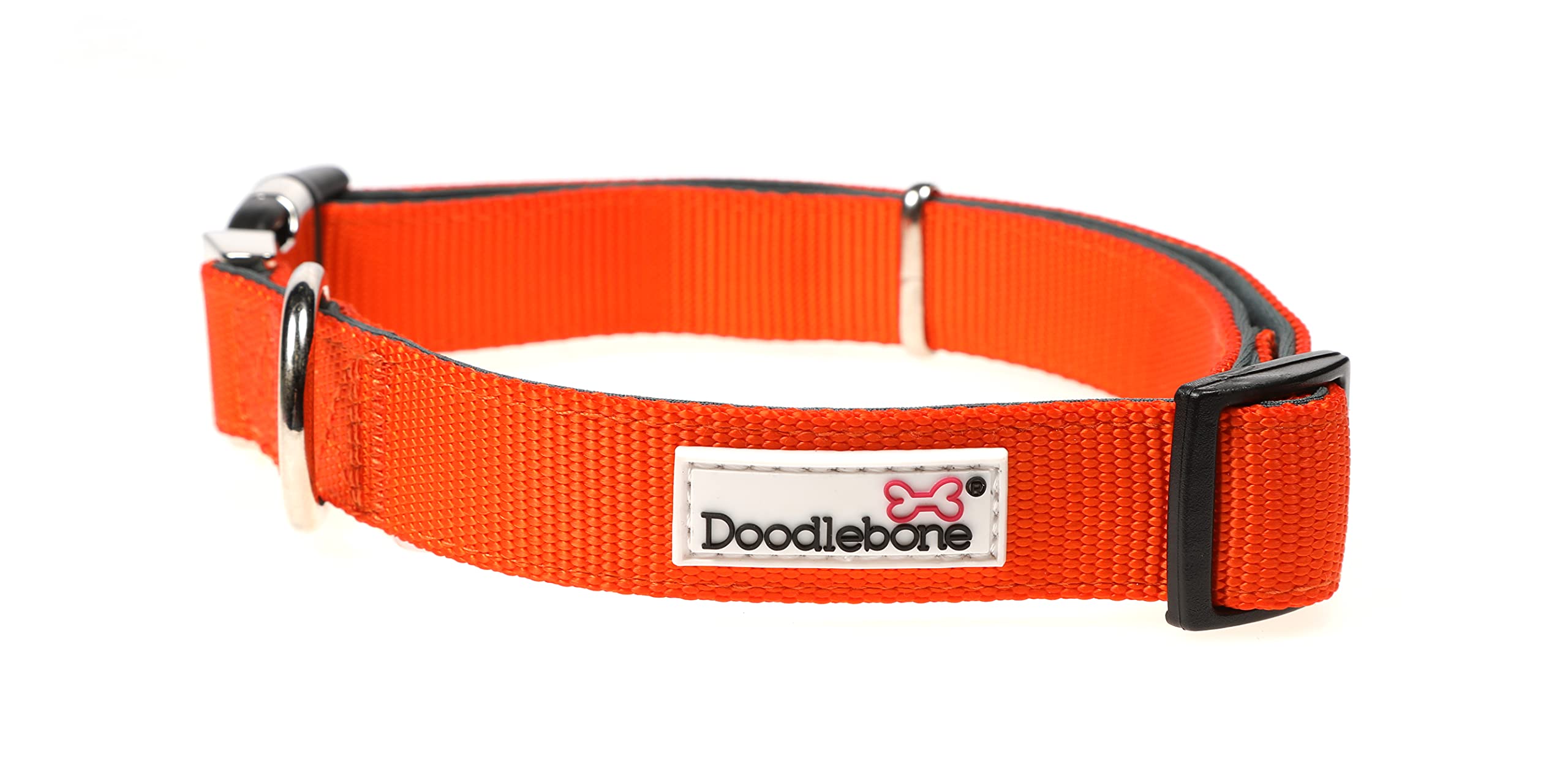 Doodlebone – Padded Dog Collar – Adjustable Breathable Comfort Collar with Reflective Stitching, Strong D Ring & Durable Metal Buckle for Daily Walks – Size 6-11 50–70cm - Tangerine