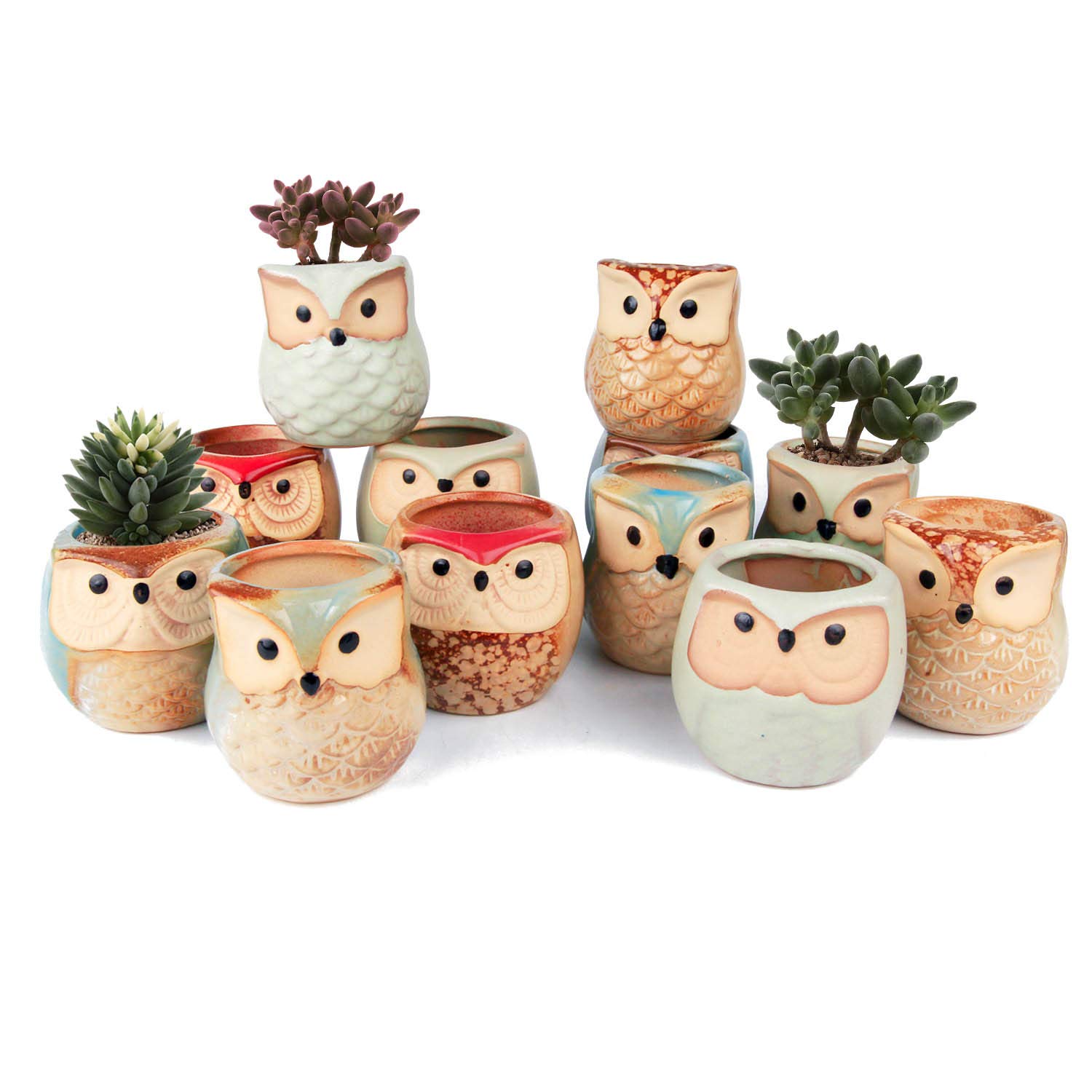 Photo 1 of T4U 2.5 Inch Owl Ceramic Succulent Planter Pots with Drainage Hole Set of 12, Mini Cactus Pots Tiny Cute Plant Holder Container Best for Home Office Decor Gardening Gift