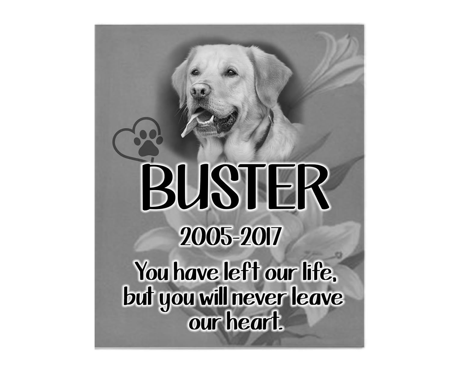 personalised pet plaques