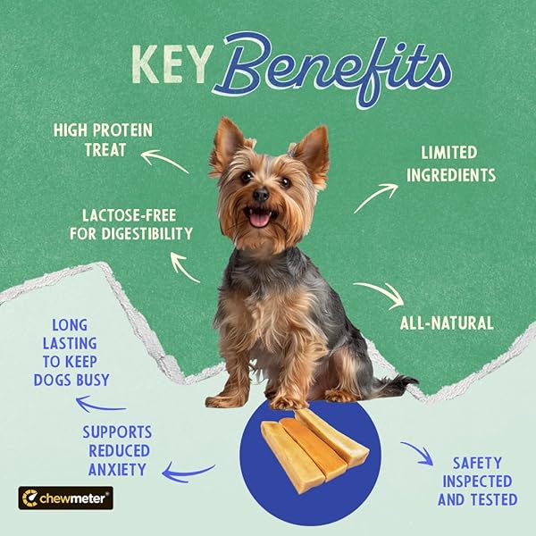 CHEWMETER HIMALAYAN YAKY CHEESE CHEW, 100% NATURAL, LONG LASTING, GLUTEN FREE, HEALTHY & SAFE DOG TREATS, LACTOSE & GRAIN FREE, PROTEIN RICH, STAIN FREE, SMALL, FOR DOGS 15 LBS & SMALLER, 3.3 OUNCE