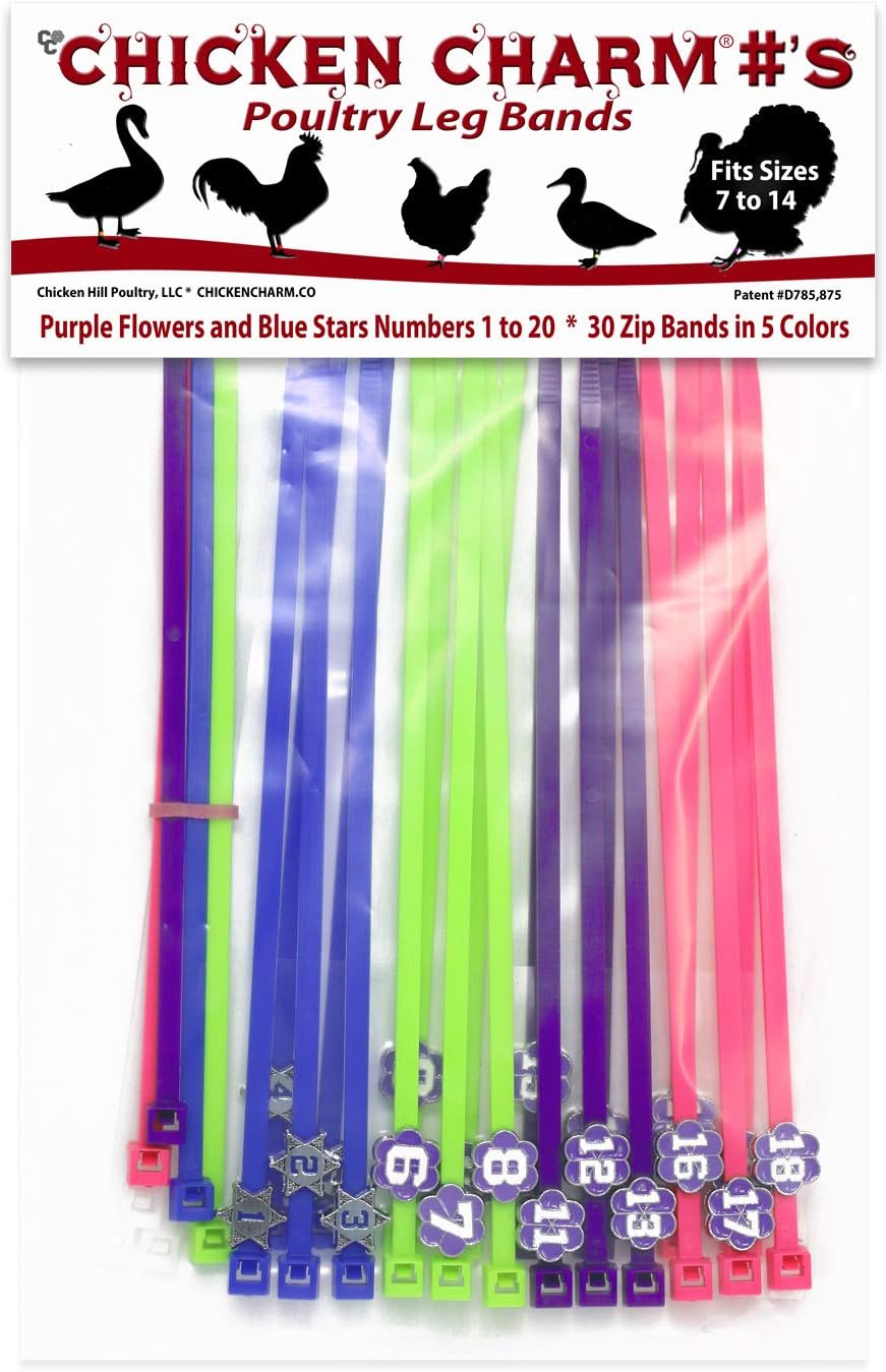 Chicken Hill Numbered Poultry Leg Bands (Blue, Purple)