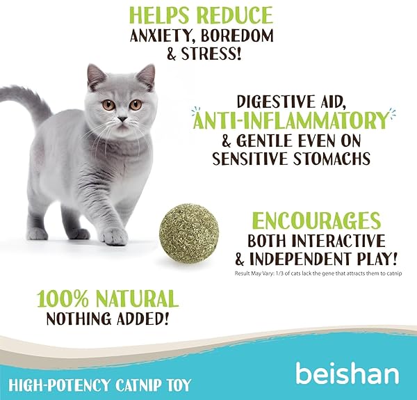 BEISHAN CATNIP BALLS, 8 CT – CAT BALL TOY – KITTEN TOYS – CAT NIP BALL CAT TOY – CAT LICK BALL – CAT NIP CAT TOYS – NATURAL CATNIP BALL FOR CATS OF ALL BREEDS