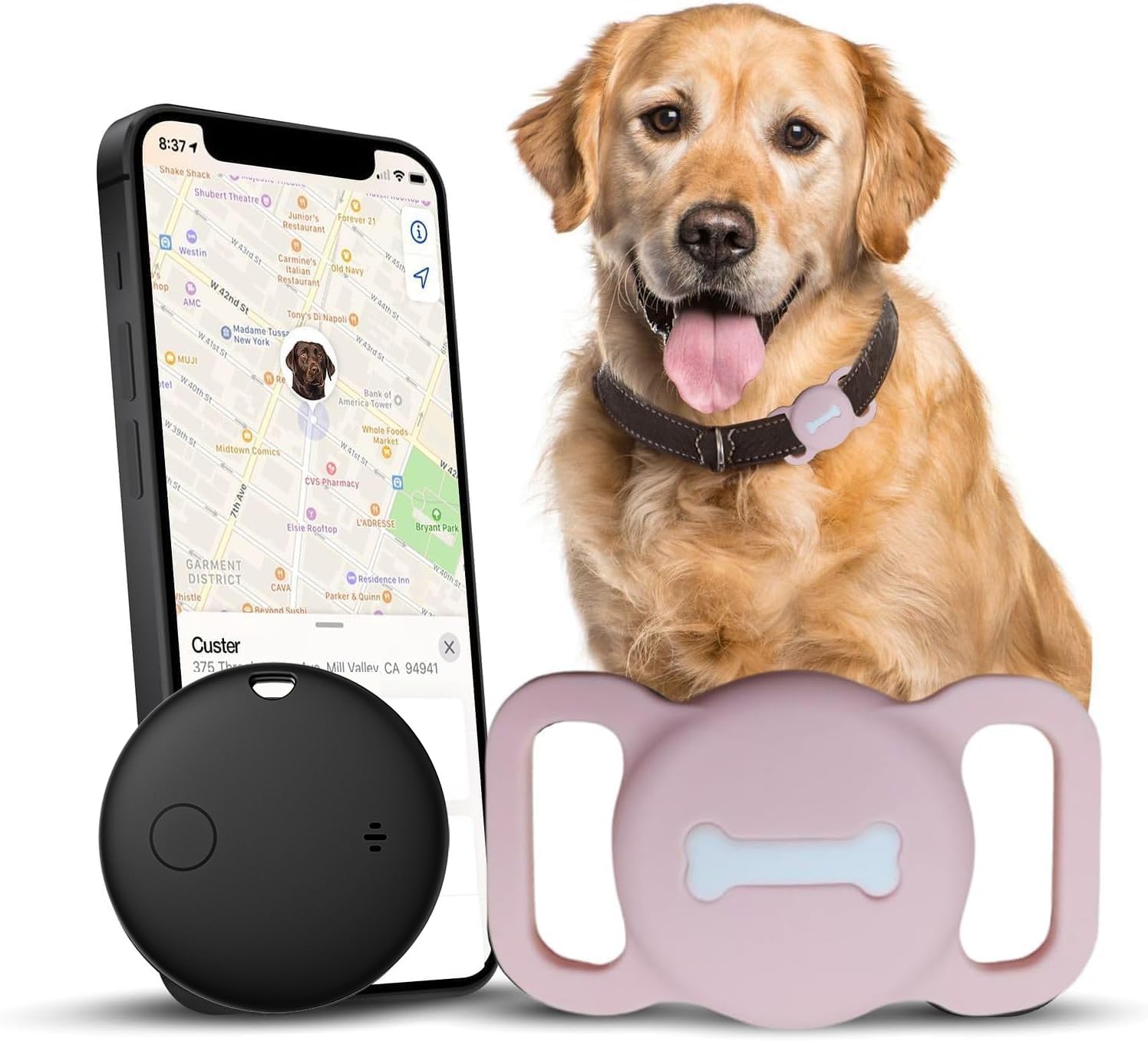 Smart Pet Tracker, Dog Tracker with Black Collar Holder, Smart Tag for ...