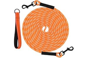 Taglory Long Training Leash with Removable Padded Handle Tie Out, 15/30/50 FT Long Line Dog Leash with 2 Swivel Hooks for Large Medium Small Breeds Walking, Camping, or Backyard Play, Orange, 30FT