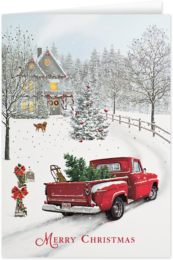 The stampers hut: christmas santa delivery cards Amazon.com : Christmas Delivery - 25 Premium Christmas Cards with Foil-lined Envelopes : Office