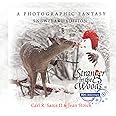 Stranger in the Woods: A Photographic Fantasy: Snowflake Edition