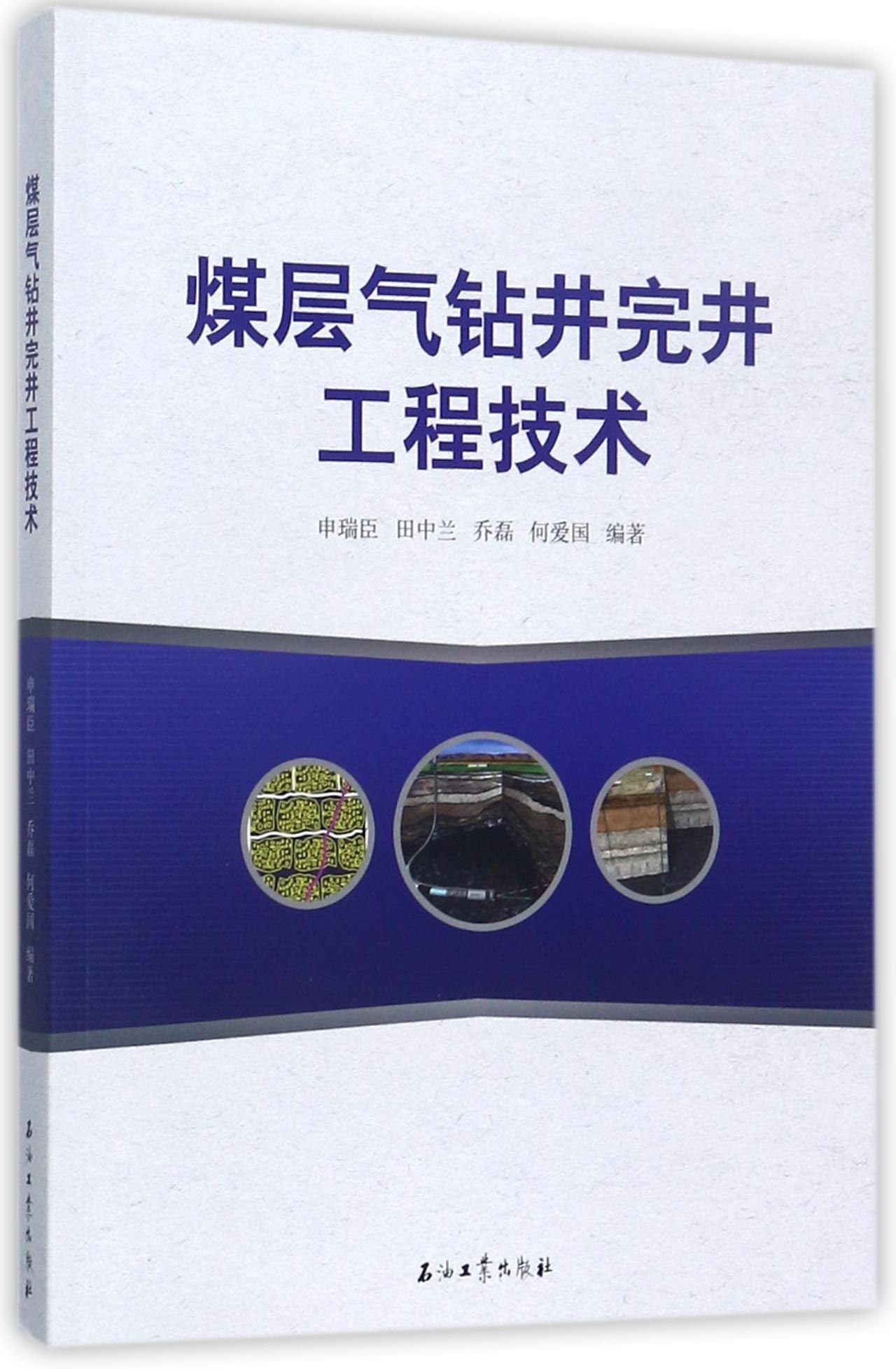 煤层气钻井完井工程技术 申瑞臣 田中兰 乔磊 等 Amazon Com Books