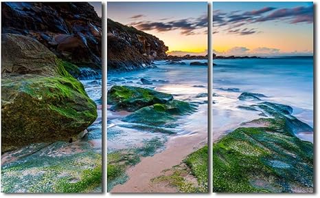 Amazon レモンツリーart アートパネル アートパネル 海 インテリアアートキャンバス絵画 きれい 海辺 額付きの完成品 山 モダン 雑貨 おしゃれ ギフト 壁掛け 現代 飾り 部屋装飾 30ｘ60 ｘ3パネル アートフレーム ポスター オンライン通販