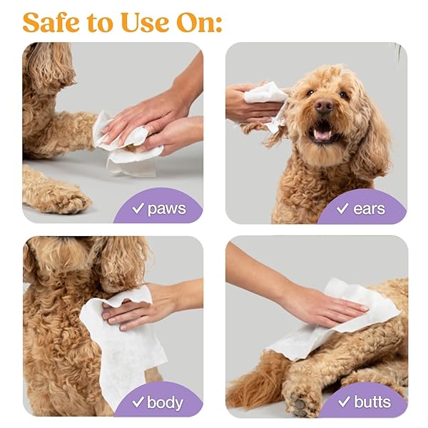 WIPEMATE 400CT LAVENDER EXTRA LARGE PET WIPES FOR MEDIUM TO LARGE DOGS & CATS, NO-RINSE SOLUTION, HYPOALLERGENIC WIPE GENTLE DEODORIZING – WIPES FOR CLEANS PAWS EARS FUR BUTT & ANAL GLANDS