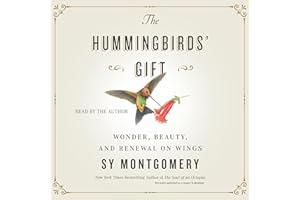 The Hummingbirds' Gift: Wonder, Beauty, and Renewal on Wings