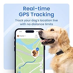 Tractive Smart Dog GPS Tracker | Live Pet Tracker