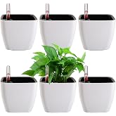 yarlung 6 Pack Self Watering Planter with Water Level Indicator, 5 Inch Plastic Plant Flower Pots Nested Container for Indoor Plants, Herbs, Aloe, Outdoor Gardening