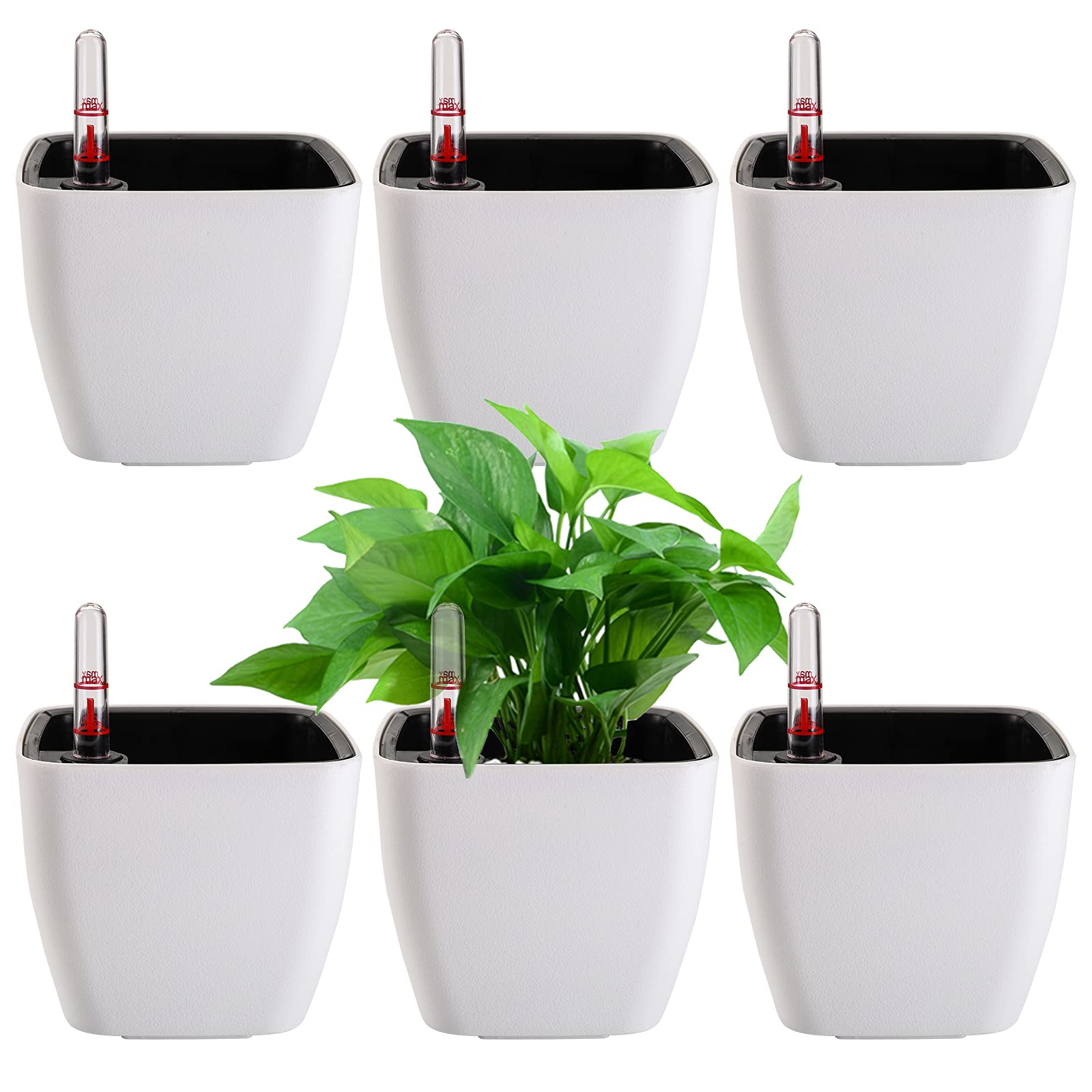 Photo 1 of yarlung 6 Pack Self Watering Planter with Water Level Indicator, 5 Inch Plastic Plant Flower Pots Nested Container for Indoor Plants, Herbs, Aloe, Outdoor Gardening