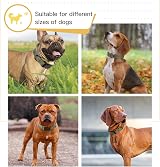 HEELE Reflective Dog Collar Neoprene Padded Nylon Small Army Green S 26-38cm view 6