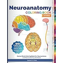 Clinical Neuroanatomy Made Ridiculously Simple: Color Edition