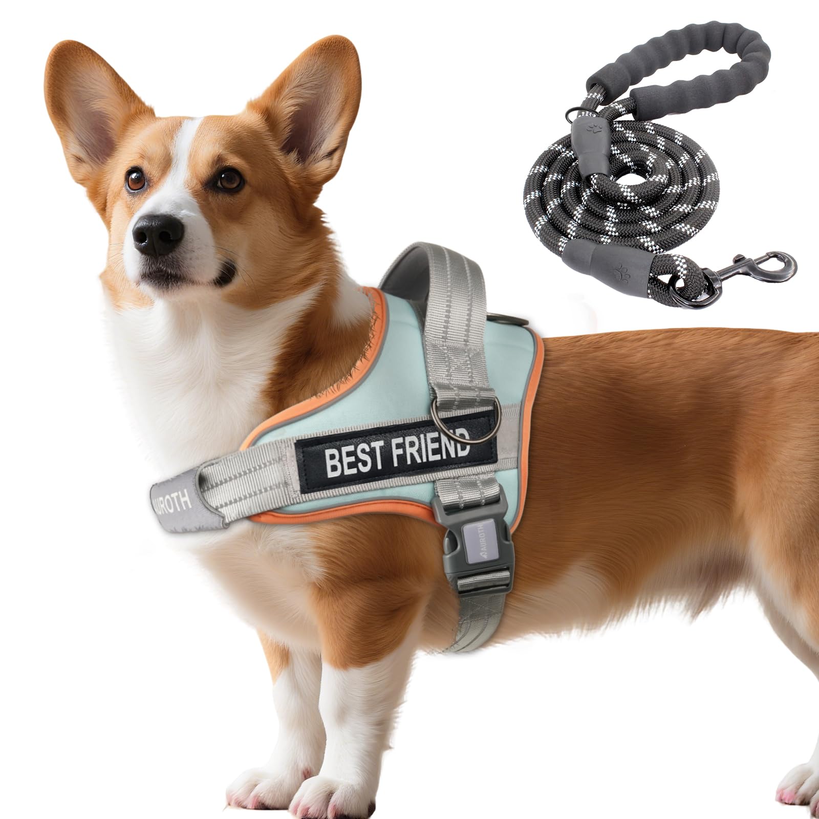 Photo 1 of AUROTH Dog Harness and Leash Set, Soft Padded Service Dog Vest with 5.25FT Dog Leash, No Choke, Easy On Pet Vest, Adjustable Reflective No Pull Dog Harness Small Sized Dog, Easy Walking and Training