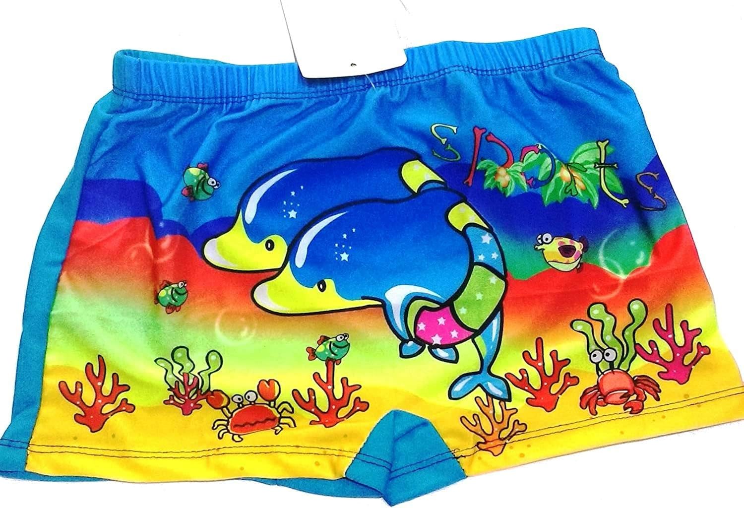 dolphin swimming costume