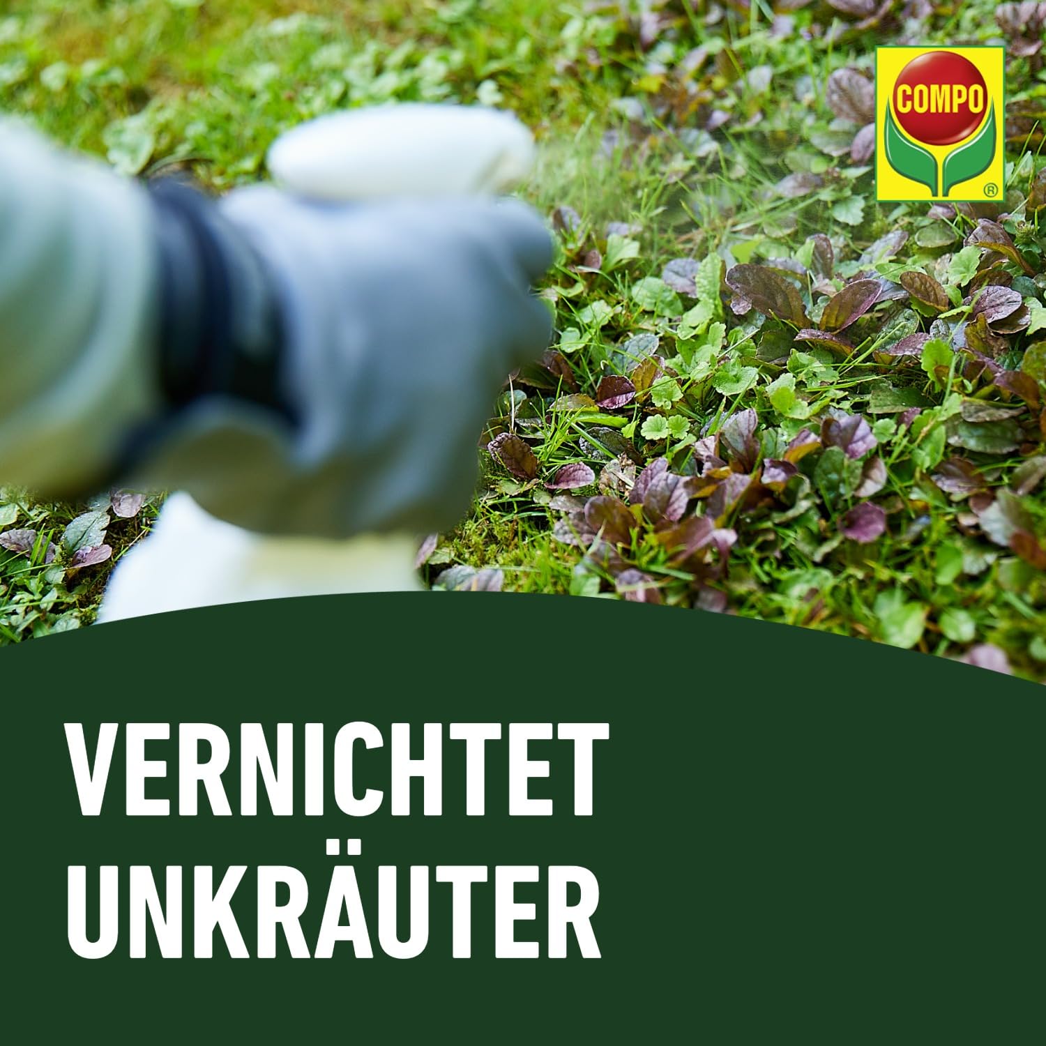 COMPO Rasenunkraut-Vernichter Banvel Quattro, Bekämpfung von schwerbekämpfbaren Unkräutern im Rasen, Konzentrat, 400 ml (400 m²) 6