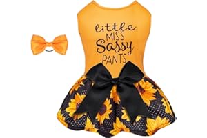 CuteBone Dog Mesh Dress Puppy Sundress Pet Outfit Summer Fashion for Small Dogs Girl Cat Clothes BF32S-D