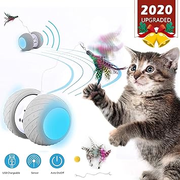 amazon uk cat toys