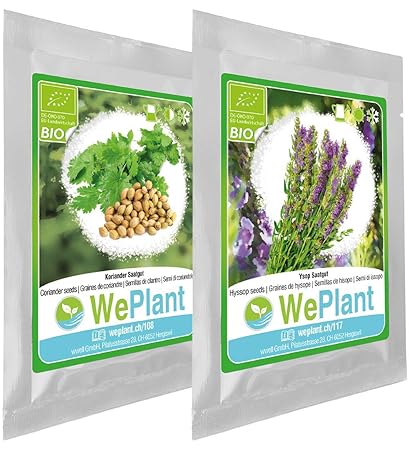 BIO Koriander & Ysop Pflanzen-Samen Set - indoor/outdoor