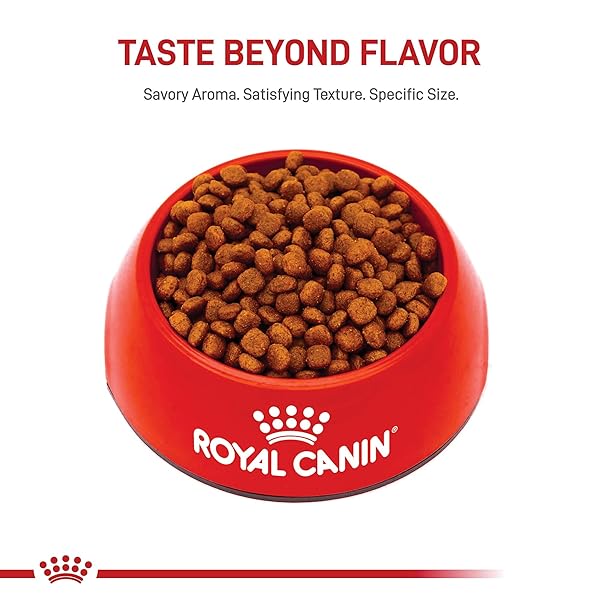 ROYAL CANIN BREED HEALTH NUTRITION CAVALIER KING CHARLES SPANIEL PUPPY DRY DOG FOOD, 3 LB BAG