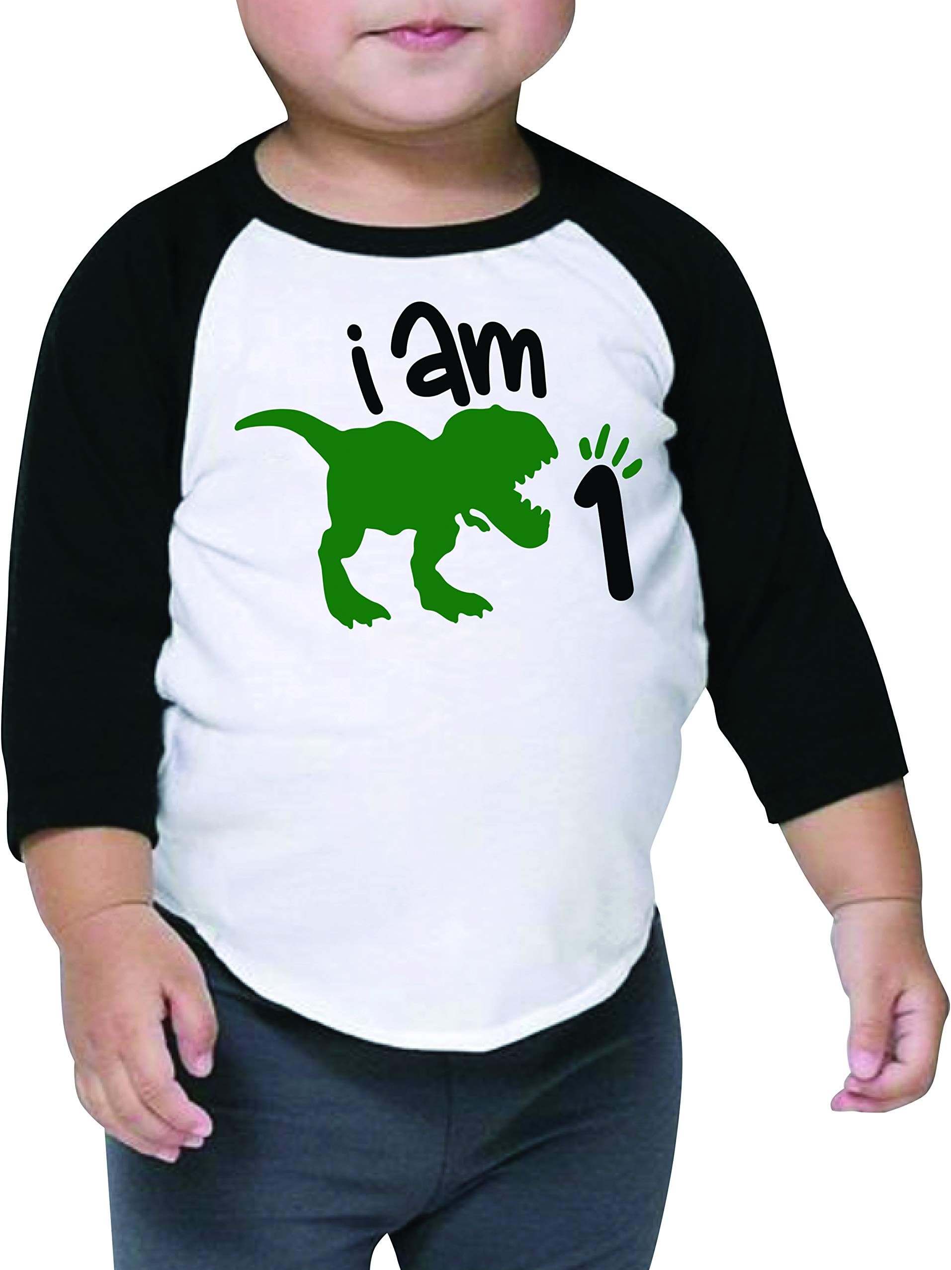 Bump and Beyond DesignsOne Birthday Dinosaur Shirt for Boys First Birthday Dinosaur Outfit