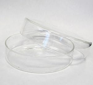 100 mm Glass Petri Dish, Autoclavable Tissue Culture Plate, Borosilicate Glass, Pack of 2