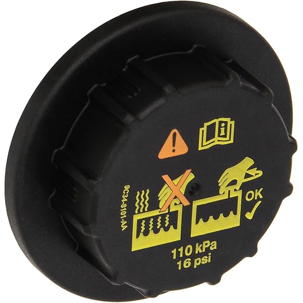Amazon.com: Motorcraft - Cap (P) (YF37239) : Automotive