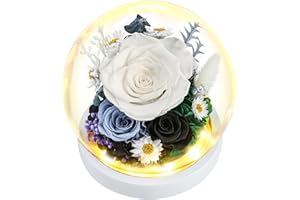 REGALO FLOR Preserved Rose Flower Gifts - Fresh Flower Bouquets, Forever Flowers - Forever Roses with LED for Women and Moms, Birthday Gift for Women, Thank You