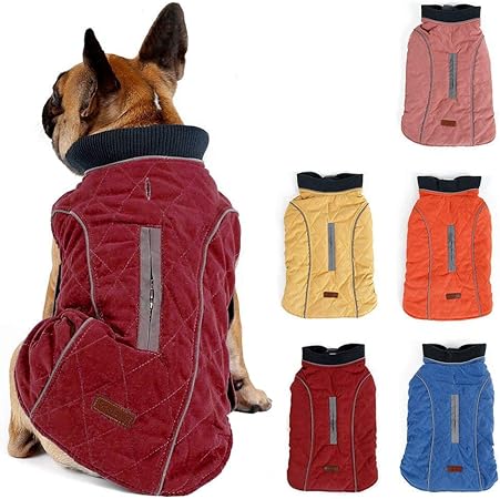 warm dog vest