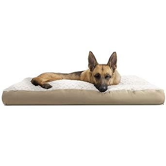 jumbo plush dog bed
