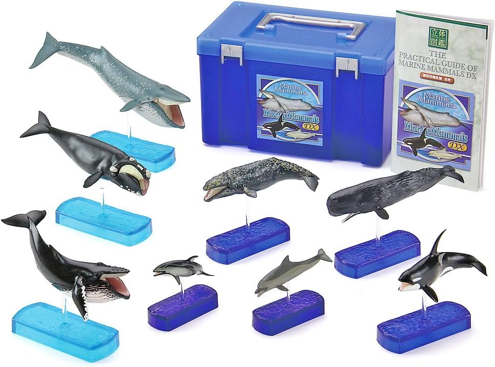 Karorata Colorata Marine Mammals Deluxe Real Figure Box (Japan Import)