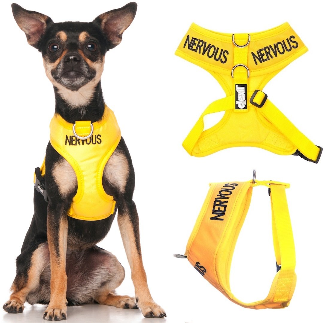 Dexil NERVOUS (Give Me Space) Yellow Colour Coded Non-Pull Front and Back D Ring Padded and Waterproof Vest Dog Harness PREVENTS Accidents By Warning Others Of Your Dog In Advance (XS)