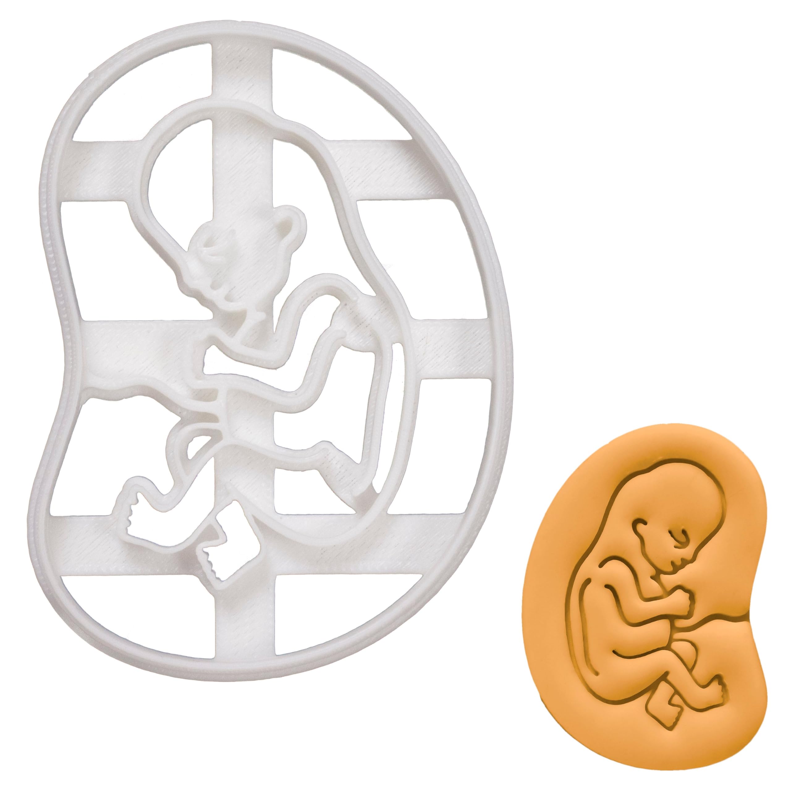 BAKERLOGY 10-Week Fetal Development Cookie Cutter - Detailed Biscuit Cutter Design for Baking and Crafts, Ideal on Fondant, Dough, Clay