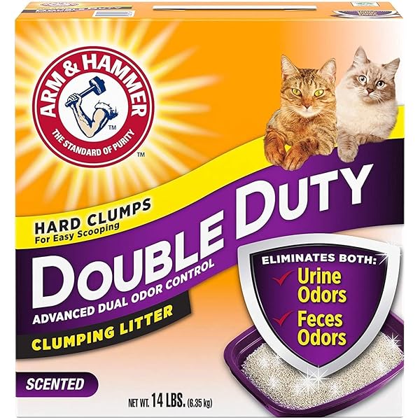 ARM & HAMMER DOUBLE DUTY CLUMPING CAT LITTER, 14LB