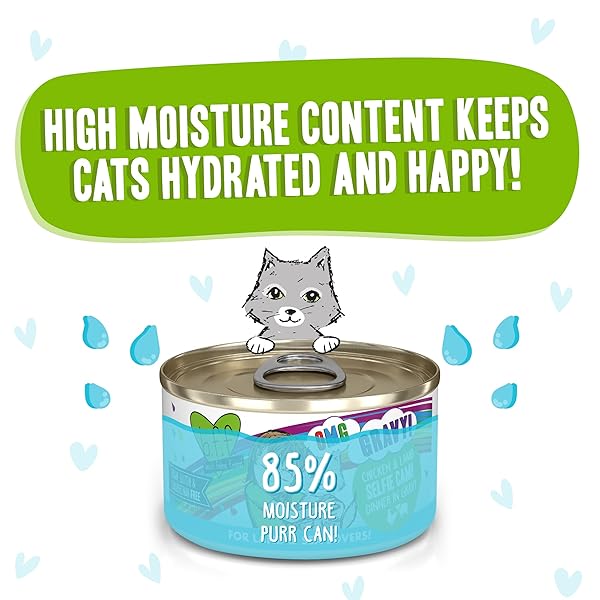 WERUVA B.F.F. OMG – BEST FELINE FRIEND OH MY GRAVY!, SELFIE CAM! WITH CHICKEN & LAMB IN GRAVY CAT FOOD, 2.8OZ CAN (PACK OF 12)