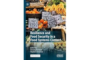 Resilience and Food Security in a Food Systems Context (Palgrave Studies in Agricultural Economics and Food Policy)