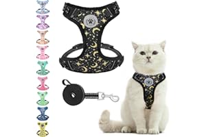 BEAUTYZOO Cat Harness and Leash Set for Walking Escape Proof, Neck Release Adjustable Harness for Kitten Puppy Small Medium Large Cats, Soft Cute Easy Control Small Cat Harness for Cats Boy and Girls