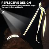 Joytale Double-Sided Reflective Dog Leash 6 5 4 FT Padded Handle Nylon view 4