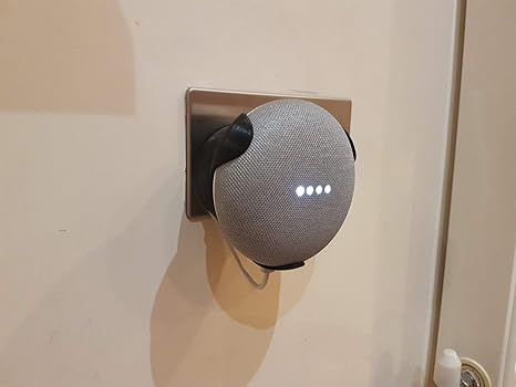 google home mini socket
